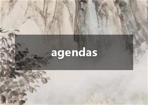 agendas是什么意思