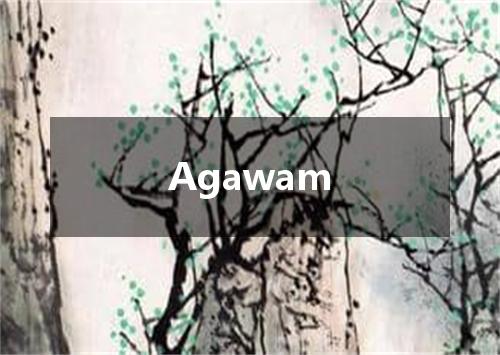 Agawam是什么意思