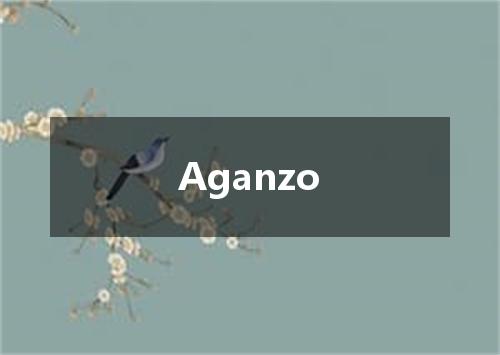 Aganzo是什么意思