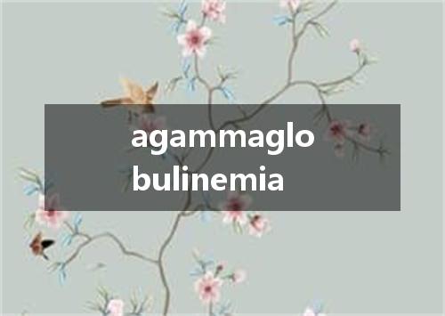 agammaglobulinemia是什么意思