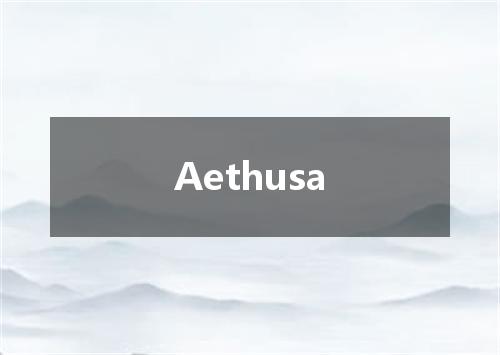 Aethusa是什么意思