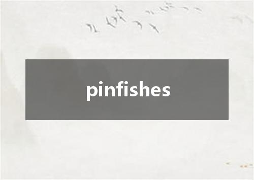 pinfishes是什么意思