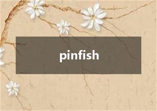 pinfish是什么意思