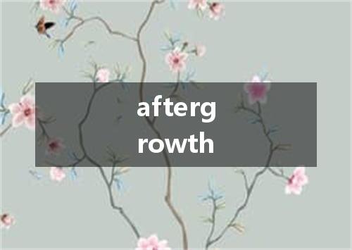 aftergrowth是什么意思