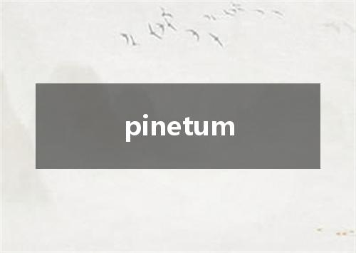 pinetum是什么意思