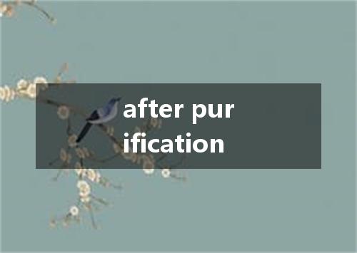 after purification是什么意思