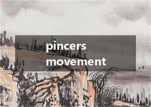 pincers movement是什么意思