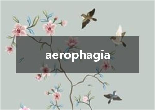 aerophagia是什么意思