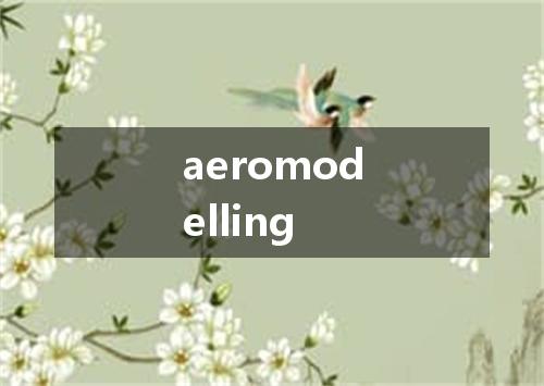 aeromodelling是什么意思