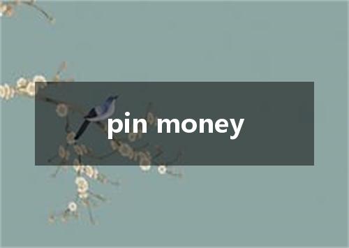 pin money是什么意思