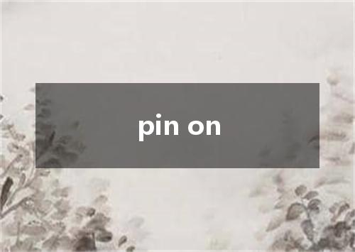 pin on是什么意思