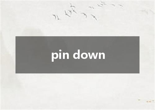pin down是什么意思