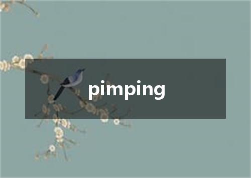 pimping是什么意思