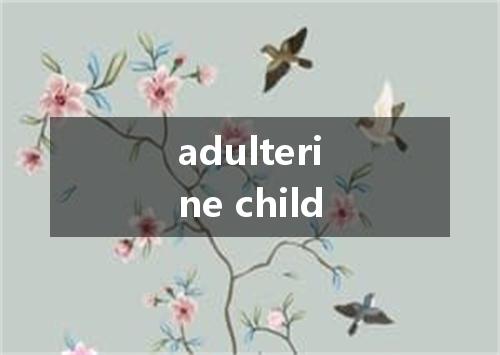 adulterine child是什么意思