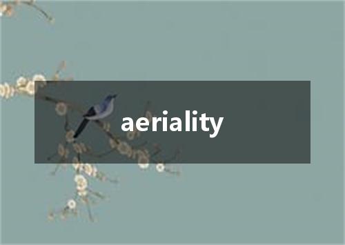 aeriality是什么意思