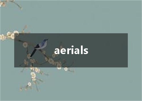 aerials是什么意思