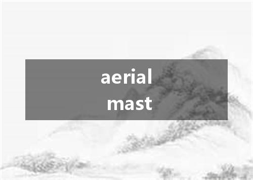aerial mast是什么意思