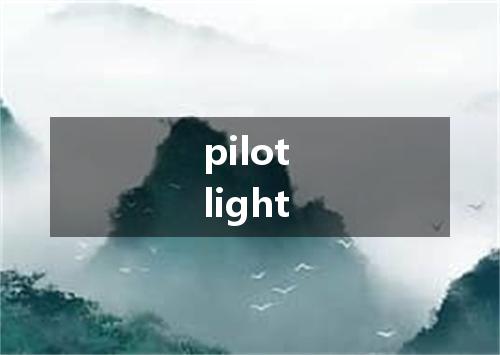 pilot light是什么意思