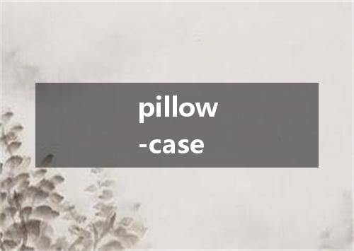 pillow-case是什么意思