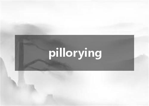 pillorying是什么意思