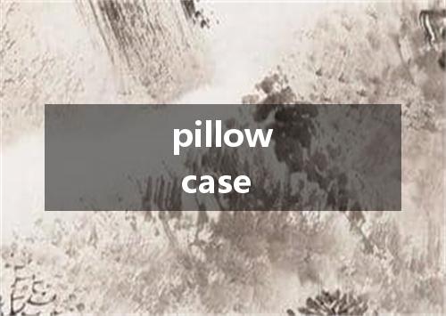 pillow case是什么意思
