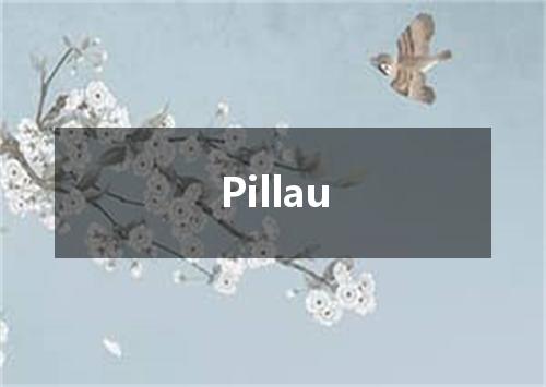 Pillau是什么意思
