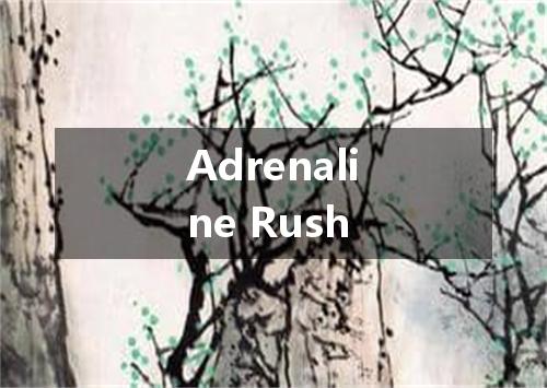 Adrenaline Rush是什么意思