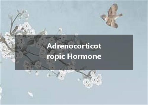 Adrenocorticotropic Hormone是什么意思