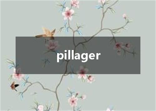 pillager是什么意思