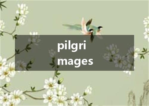 pilgrimages是什么意思