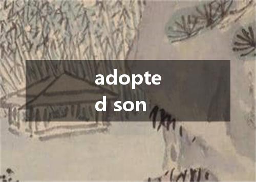 adopted son是什么意思