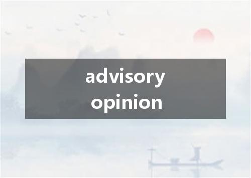 advisory opinion是什么意思