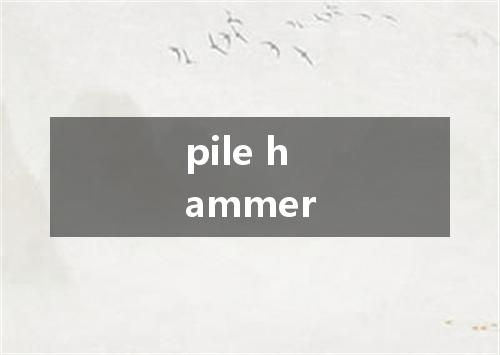 pile hammer是什么意思