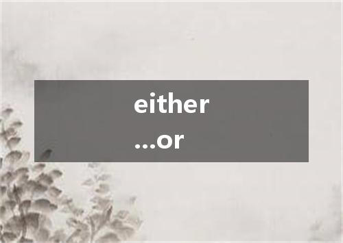 either...or是什么意思