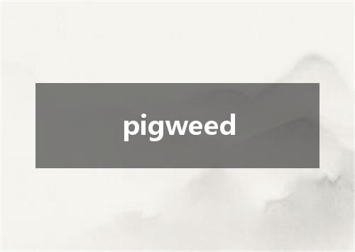 pigweed是什么意思