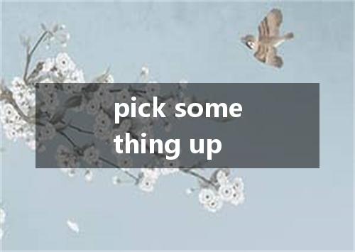 pick something up是什么意思