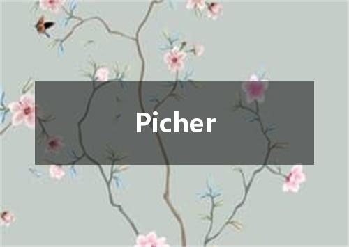 Picher是什么意思