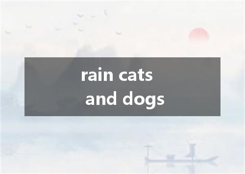 rain cats and dogs是什么意思
