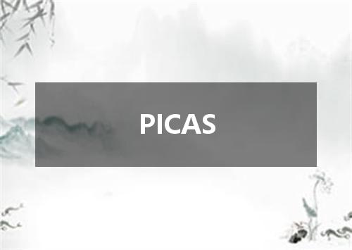 PICAS是什么意思