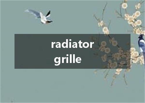 radiator grille是什么意思