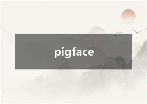 pigface是什么意思