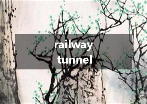 railway tunnel是什么意思