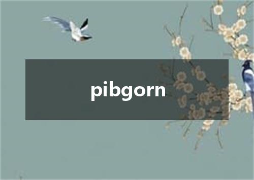 pibgorn是什么意思