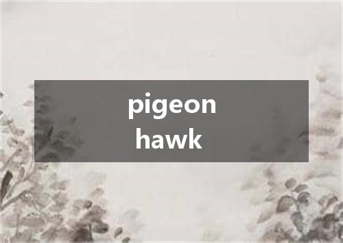 pigeon hawk是什么意思