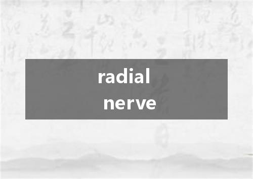 radial nerve是什么意思