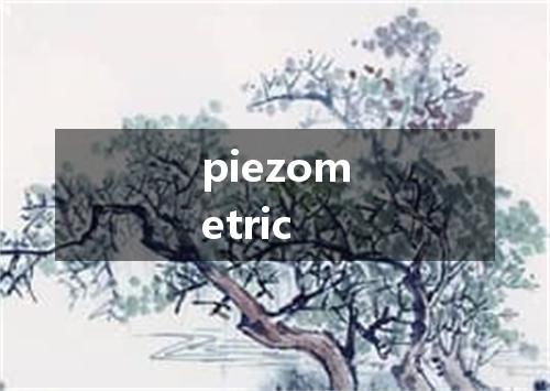 piezometric是什么意思