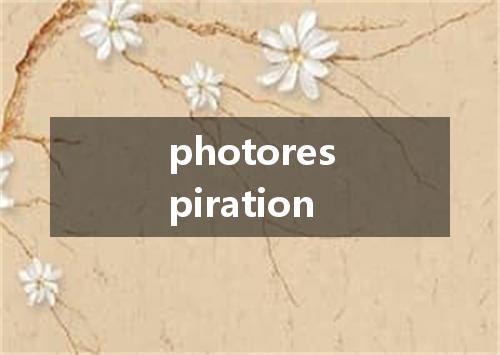 photorespiration是什么意思