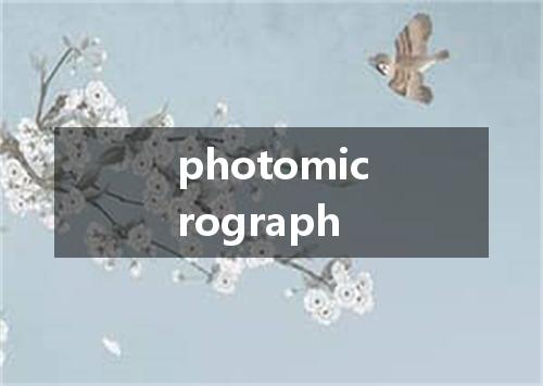 photomicrograph是什么意思