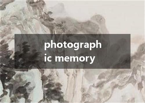 photographic memory是什么意思