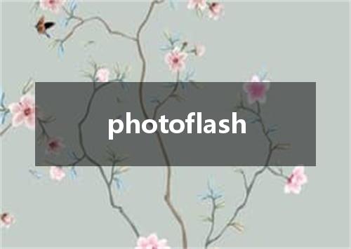 photoflash是什么意思